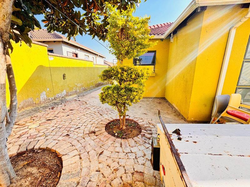 A rear courtyard area featuring paved flooring and boundary walls, currently showing signs of exterior paint deterioration and requiring maintenance.