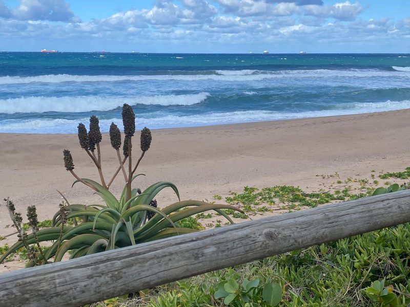 A scenic view of the ocean and sandy beach, framed by a timber railing and coastal vegetation.