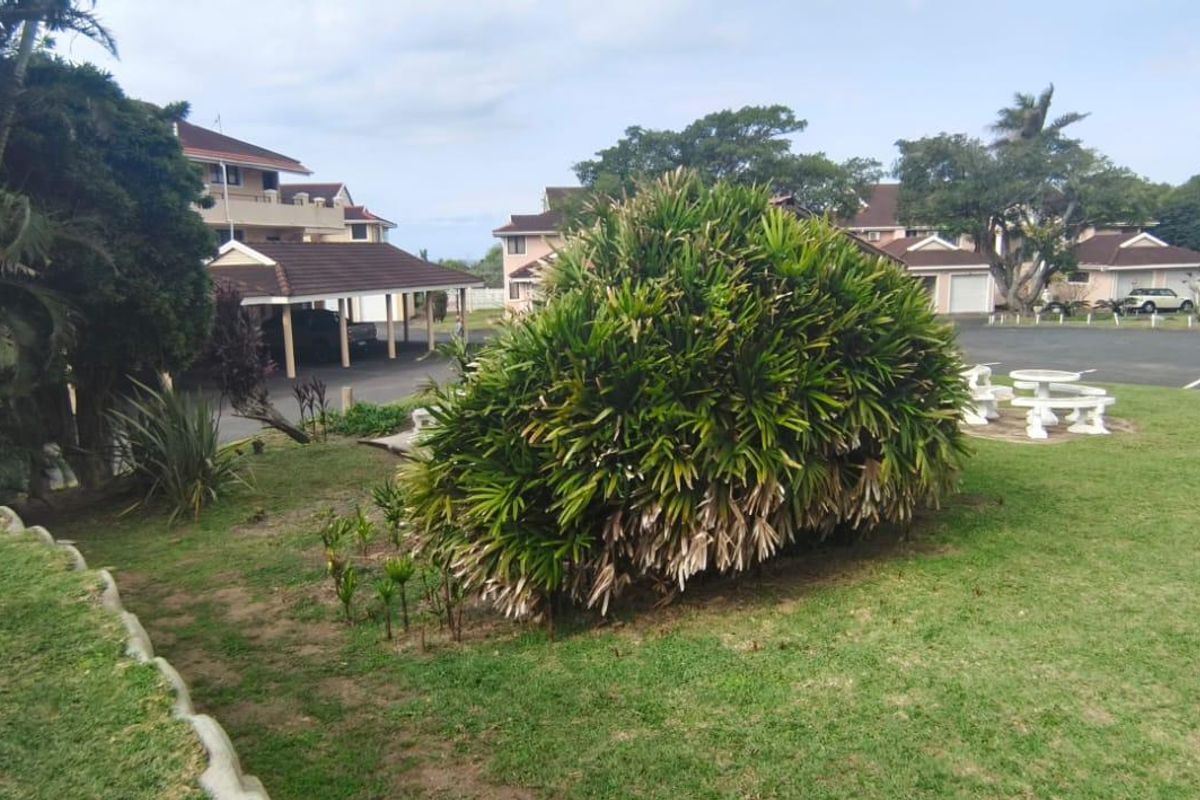 A view of the communal garden area featuring a lawn, mature shrubbery, and a white picket fence, with apartment buildings and covered parking in the background.