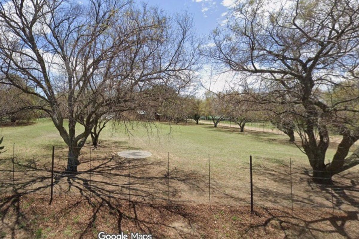 A large, open garden area featuring mature trees and perimeter wire fencing, providing a spacious outdoor setting.