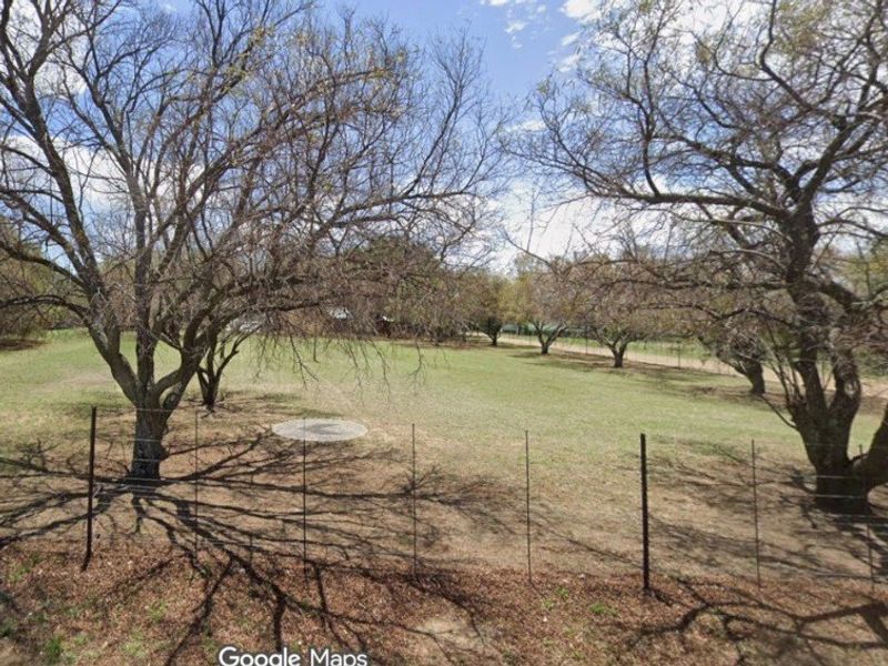 A large, open garden area featuring mature trees and perimeter wire fencing, providing a spacious outdoor setting.