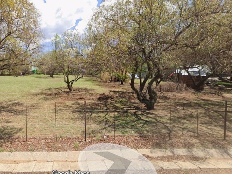 A large, open garden area featuring mature trees and a wire mesh perimeter fence, viewed from the street.