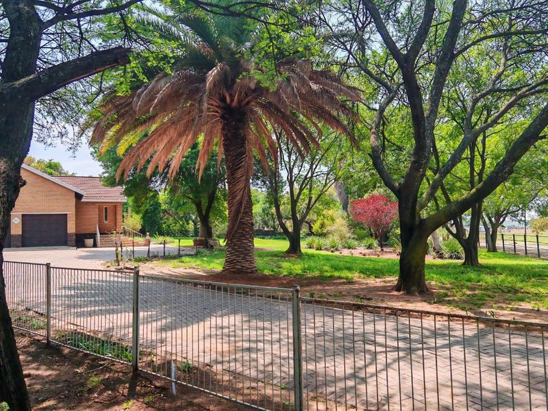 A spacious garden area featuring mature trees, a palm tree, and a paved driveway leading to a brick-faced garage with metal perimeter fencing.