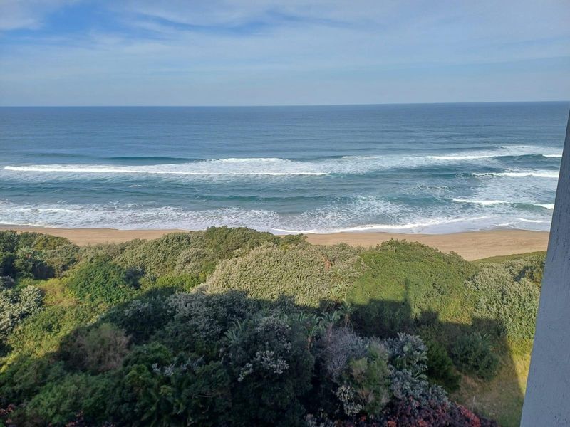 A scenic elevated view overlooking the coastline, sandy beach, and ocean waves, framed by coastal vegetation.