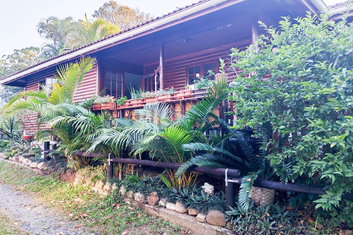 A charming timber-clad house featuring a covered veranda, timber-framed windows and doors, and a well-established garden setting.