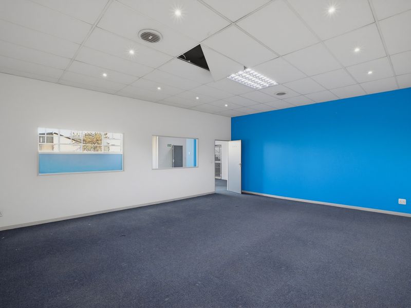 An empty office space featuring a suspended ceiling with recessed lighting, blue accent wall, and carpeted flooring.