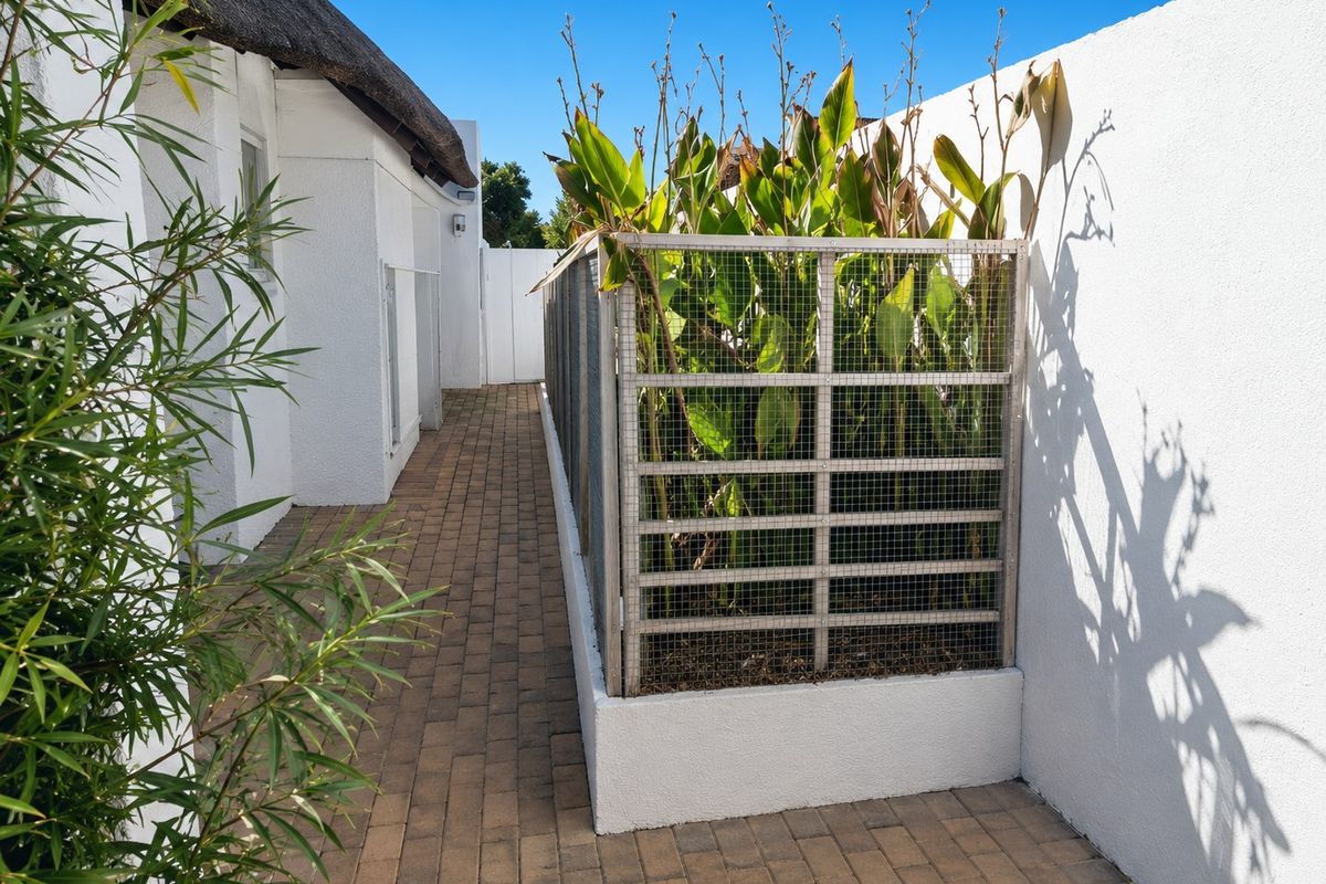 A paved side walkway featuring a thatched roof overhang, a raised planter box with wire mesh enclosure, and clean white boundary walls.