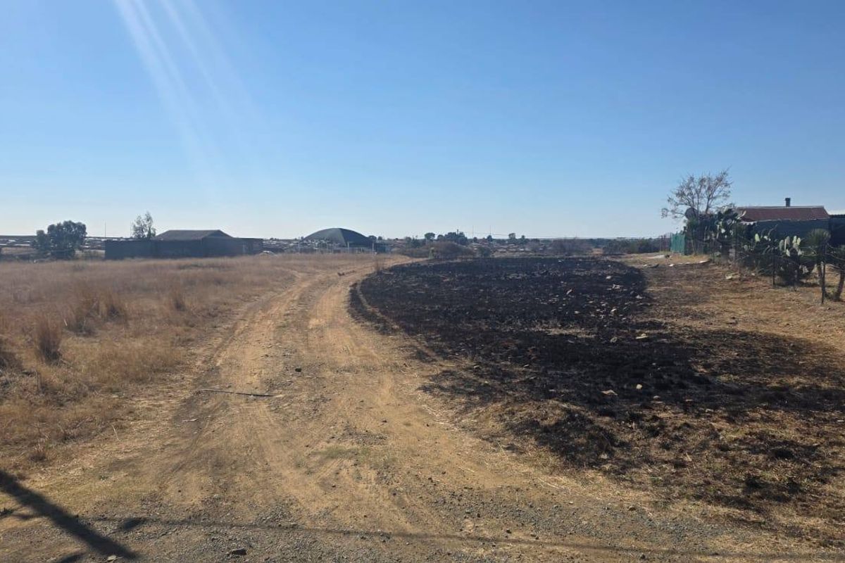 A view of a vacant residential plot featuring a dirt access road and signs of recent vegetation clearing or fire damage.