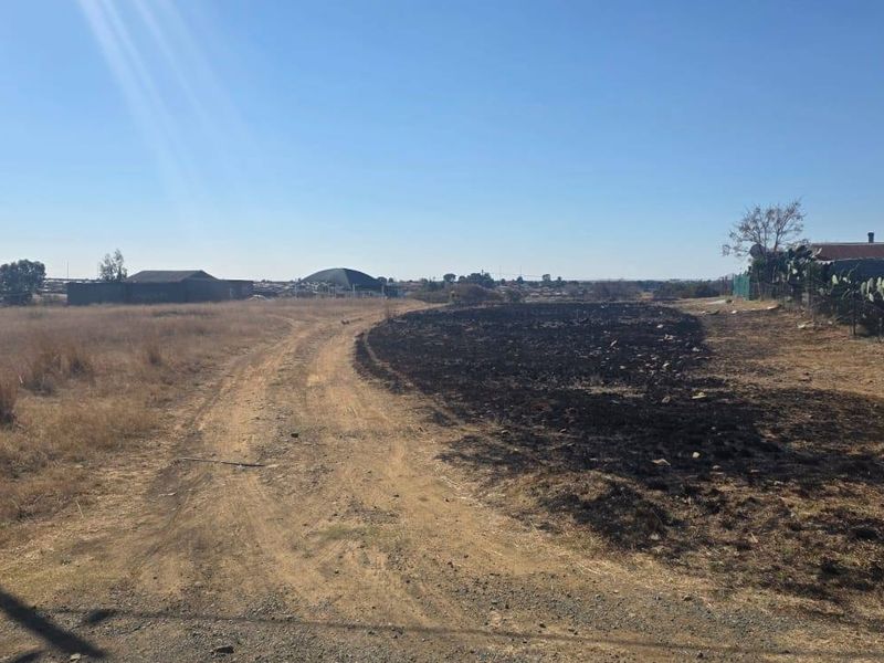 A view of a vacant residential plot featuring a dirt access road and signs of recent vegetation clearing or fire damage.