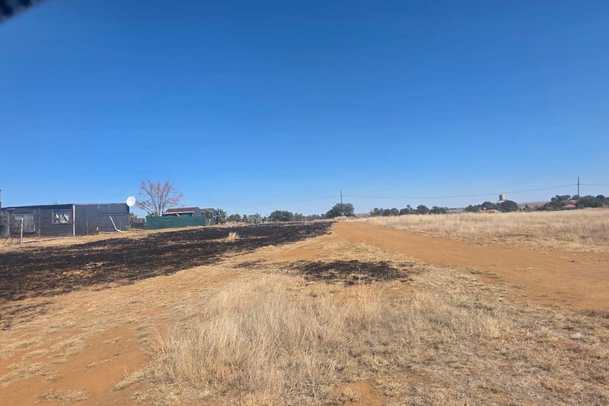A view of a vacant residential plot featuring a dirt road and signs of recent fire damage on the land.