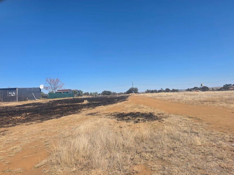 A view of a vacant residential plot featuring a dirt road and signs of recent fire damage on the land.
