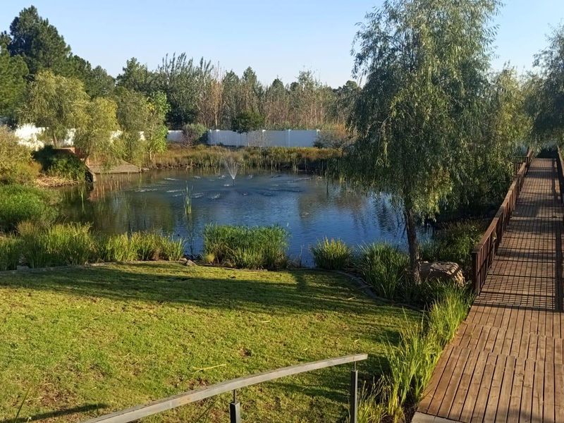 A scenic garden area featuring a tranquil pond with a water fountain, surrounded by lush greenery and a wooden boardwalk pathway.