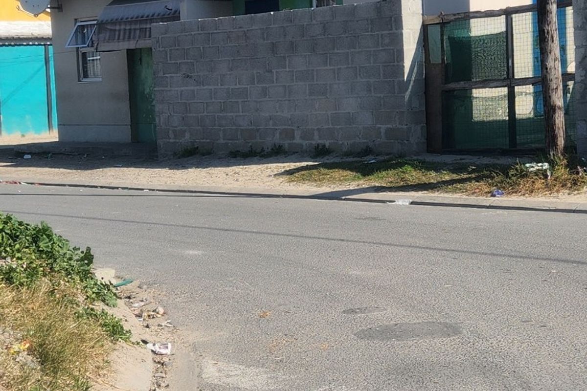 Street view of a single-story residential house featuring a tiled roof and an unfinished concrete block boundary wall.
