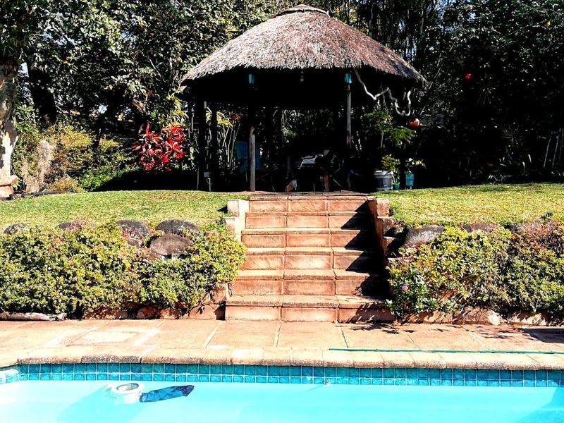 Outdoor pool area featuring a swimming pool, stone-stepped access to a raised garden, and a traditional thatched gazebo for shaded relaxation.