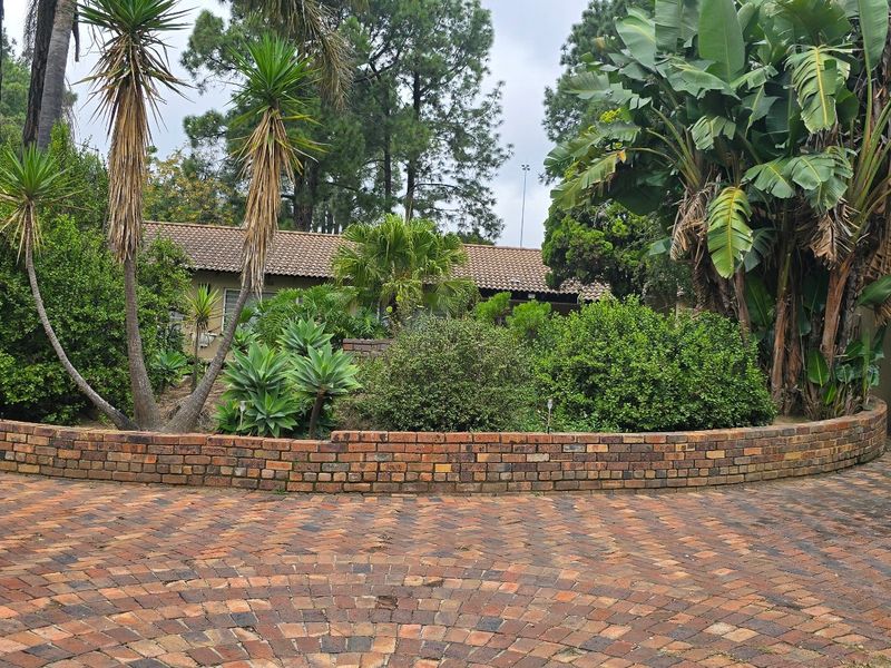 A landscaped garden area featuring a curved brick retaining wall, mature tropical plants, and a brick-paved driveway leading to the house entrance.