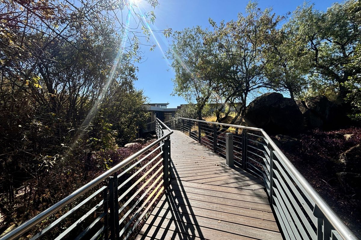 A well-maintained timber boardwalk with metal balustrades leading through a landscaped garden area towards the property.