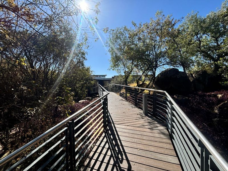A well-maintained timber boardwalk with metal balustrades leading through a landscaped garden area towards the property.
