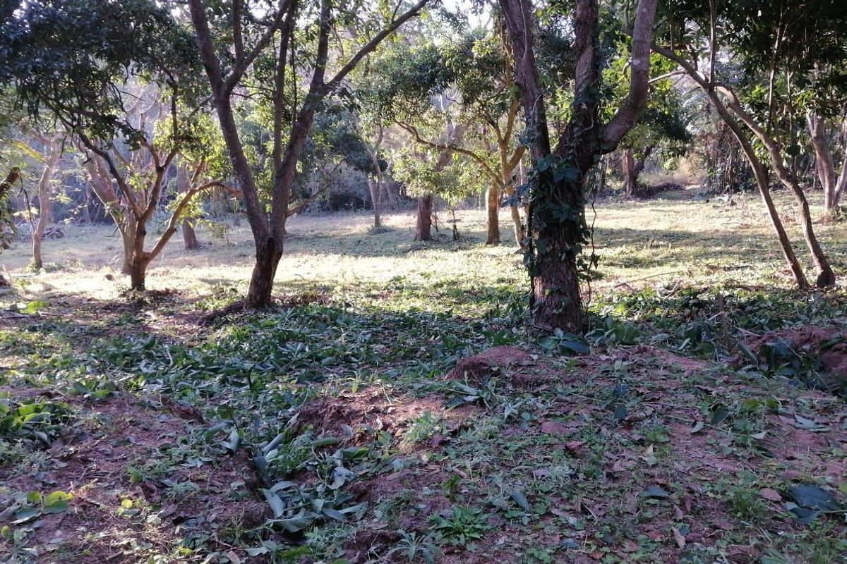 Vacant Land For Sale In Pennington - Photo 3
