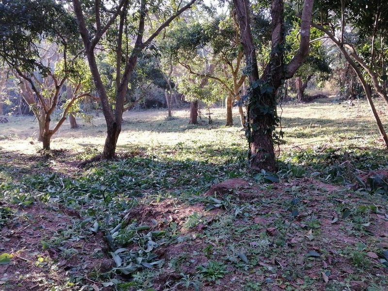 Vacant Land For Sale In Pennington - Photo 3