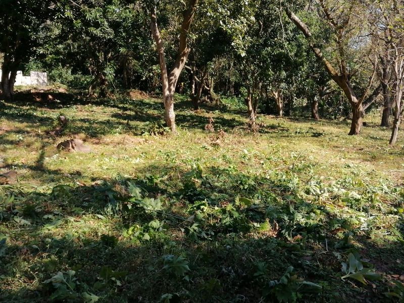 Vacant Land For Sale In Pennington - Photo 10
