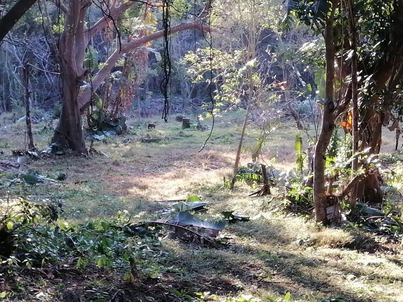 Vacant Land For Sale In Pennington - Photo 8