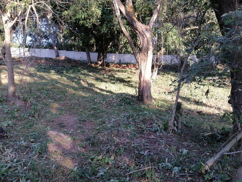 Vacant Land For Sale In Pennington - Photo 7