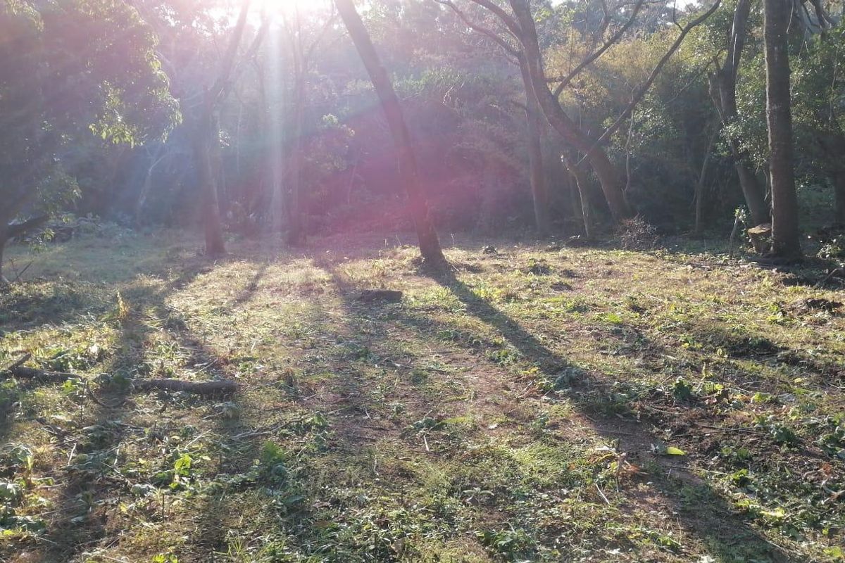 Vacant Land For Sale In Pennington - Photo 5