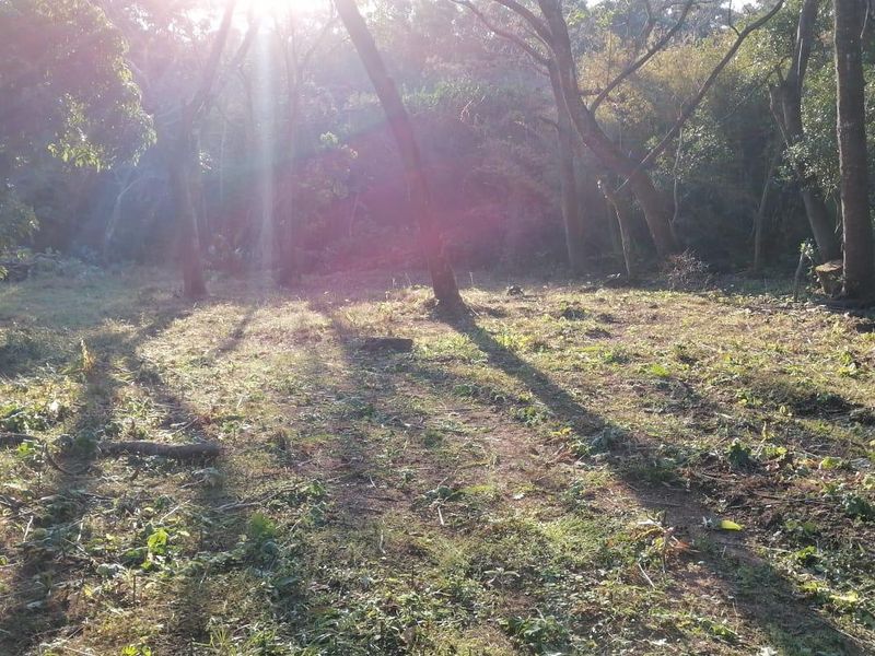 Vacant Land For Sale In Pennington - Photo 5