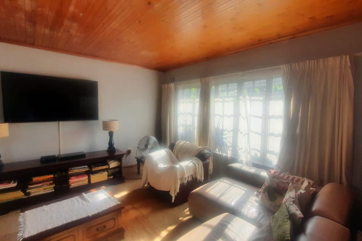 A living room featuring a warm timber-clad ceiling and large multi-pane windows that allow for natural light.
