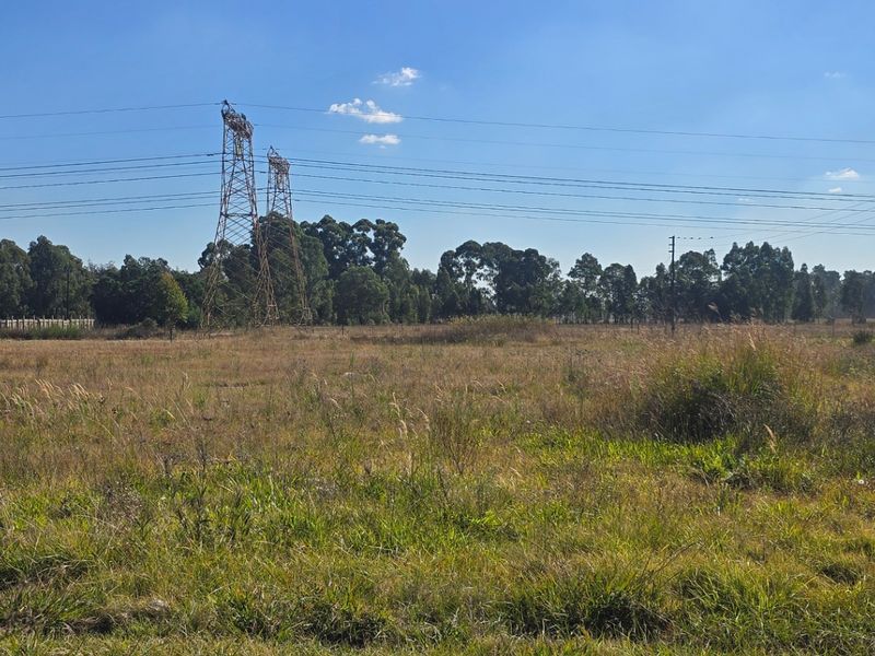 Farm For Sale In Benoni - Photo 9