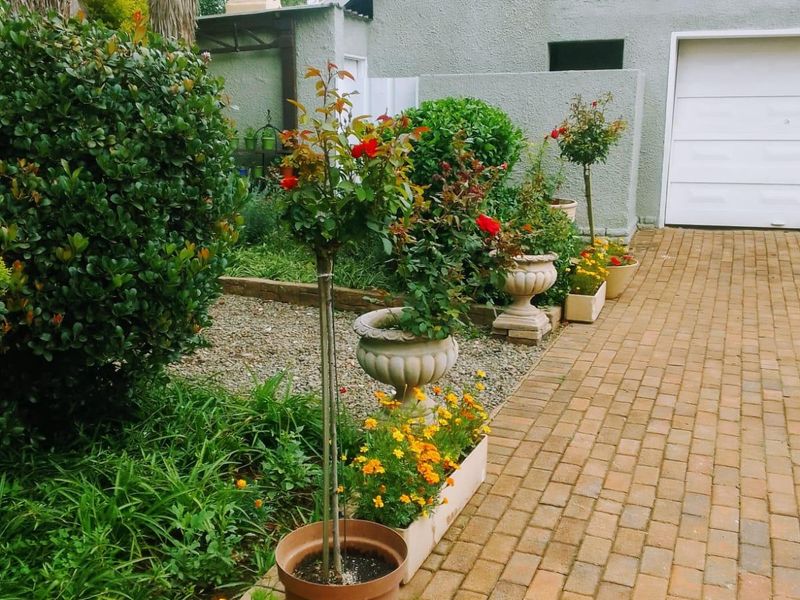 House For Sale In Springs - Photo 4