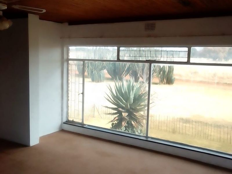 An empty living room featuring a timber-clad ceiling, large picture window with garden views, and carpeted flooring.
