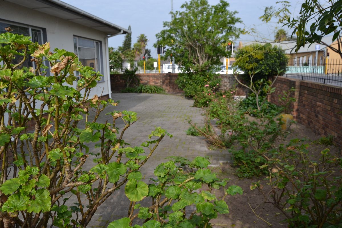 A paved rear courtyard area enclosed by a brick boundary wall, featuring established garden beds and mature shrubs.