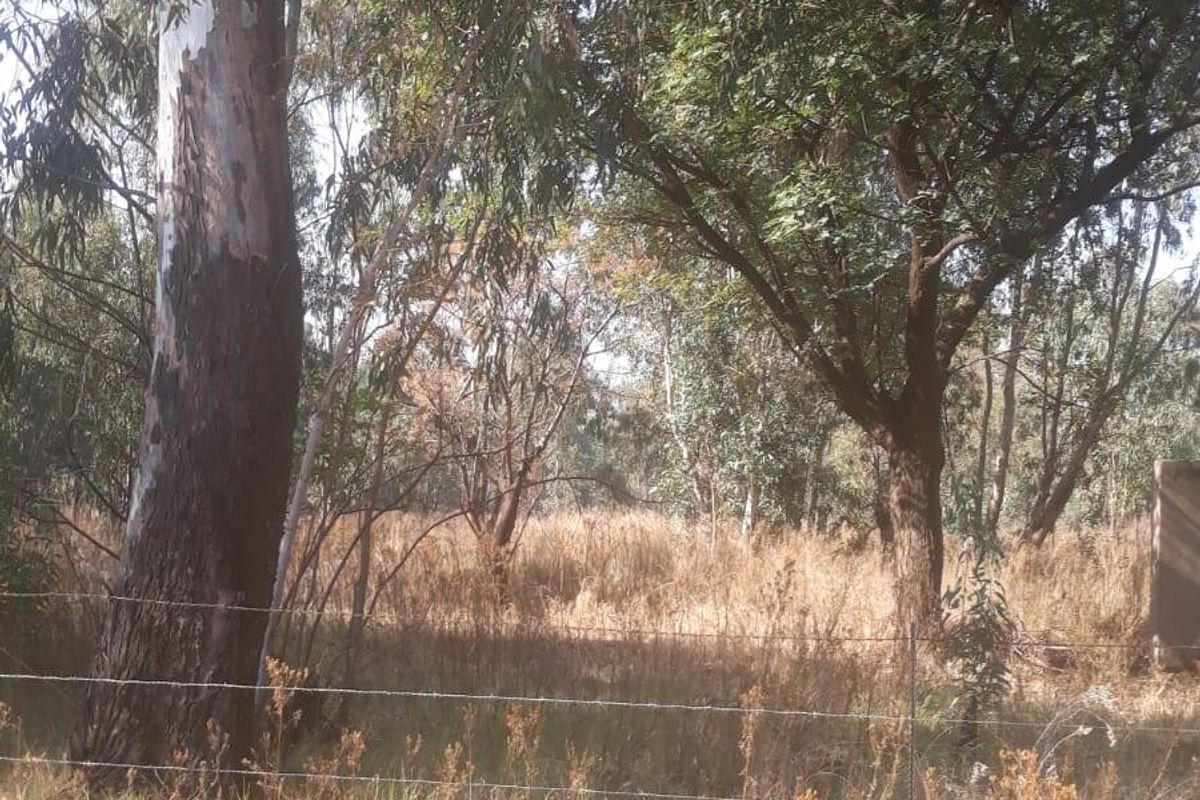 A view of a vacant residential plot featuring mature trees and a perimeter barbed wire fence.