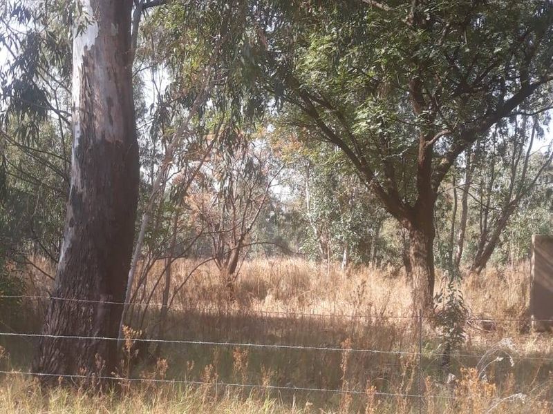 A view of a vacant residential plot featuring mature trees and a perimeter barbed wire fence.