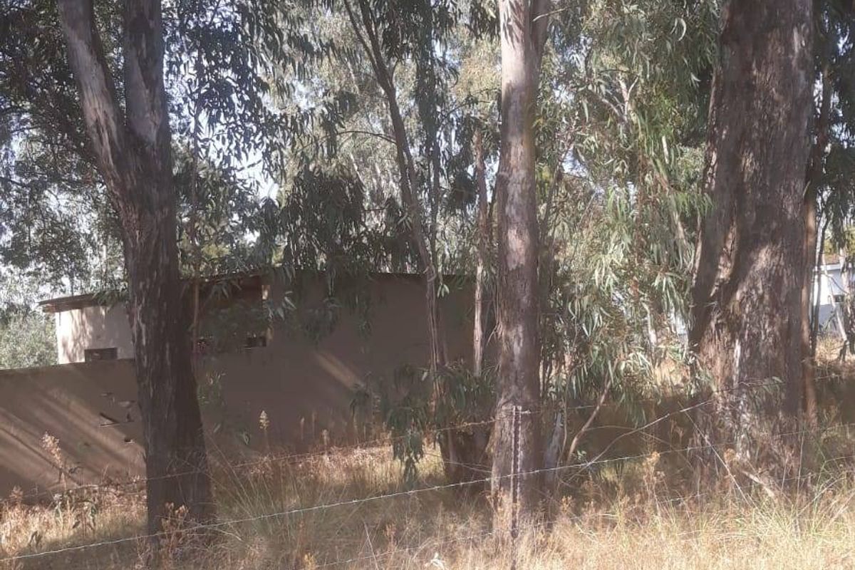 A view of a vacant residential plot featuring mature trees and a perimeter barbed wire fence.