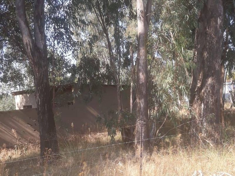A view of a vacant residential plot featuring mature trees and a perimeter barbed wire fence.