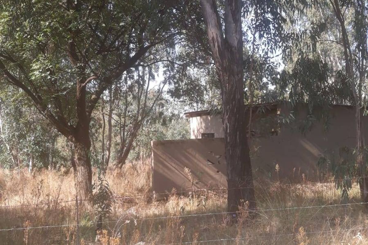 A view of a vacant residential plot featuring mature trees and a wire perimeter fence with a partial view of a structure in the background.