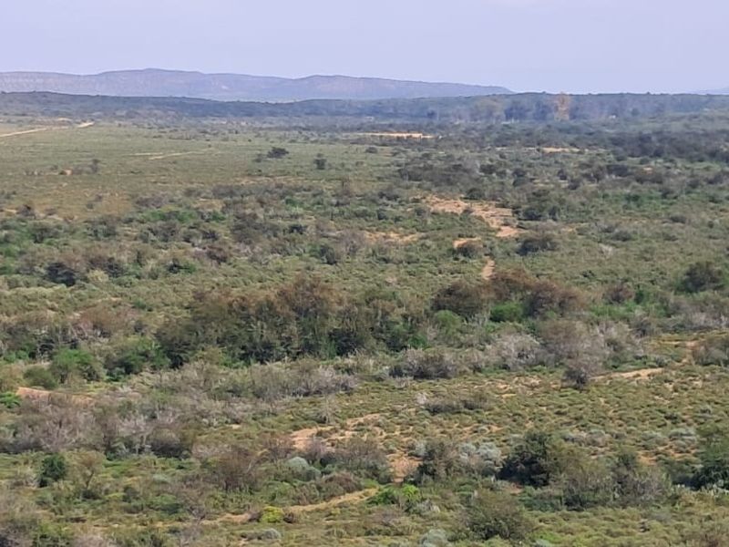 Vacant Land For Sale In Willowmore - Photo 5