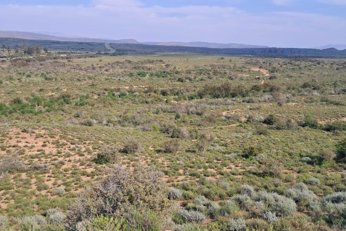 An aerial view of expansive, undeveloped residential land featuring natural vegetation and distant mountain vistas.