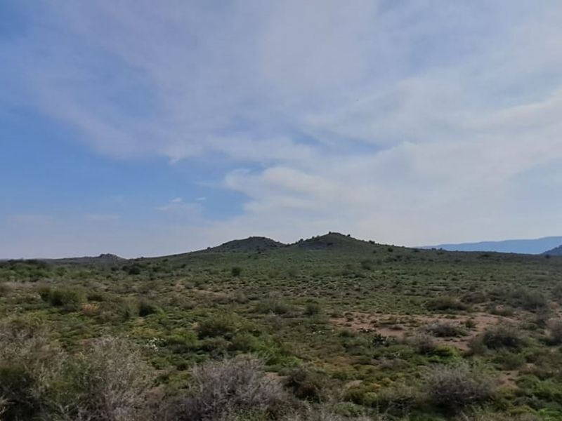 Vacant Land For Sale In Willowmore - Photo 1