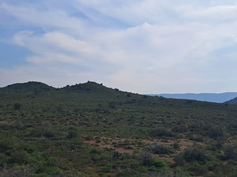 Vacant Land For Sale In Willowmore - Photo 6