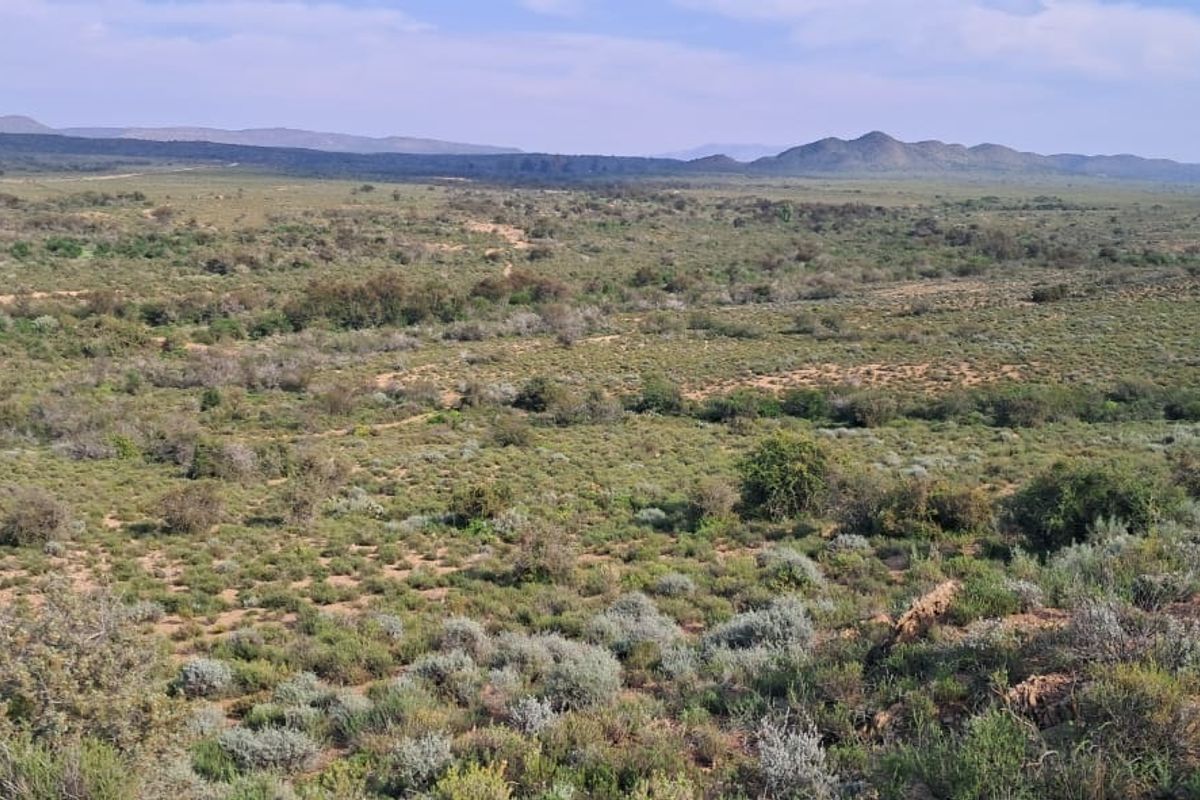 A wide-angle view of the expansive natural landscape, featuring native scrubland vegetation and distant mountain ranges.