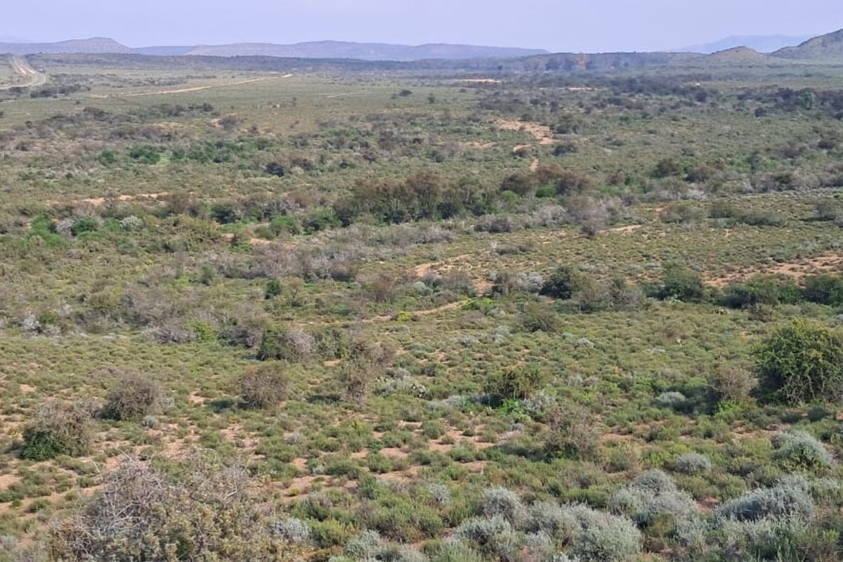 Expansive view of the natural landscape featuring rolling terrain, native vegetation, and distant mountain ranges.