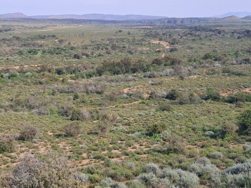 Vacant Land For Sale In Willowmore - Photo 2