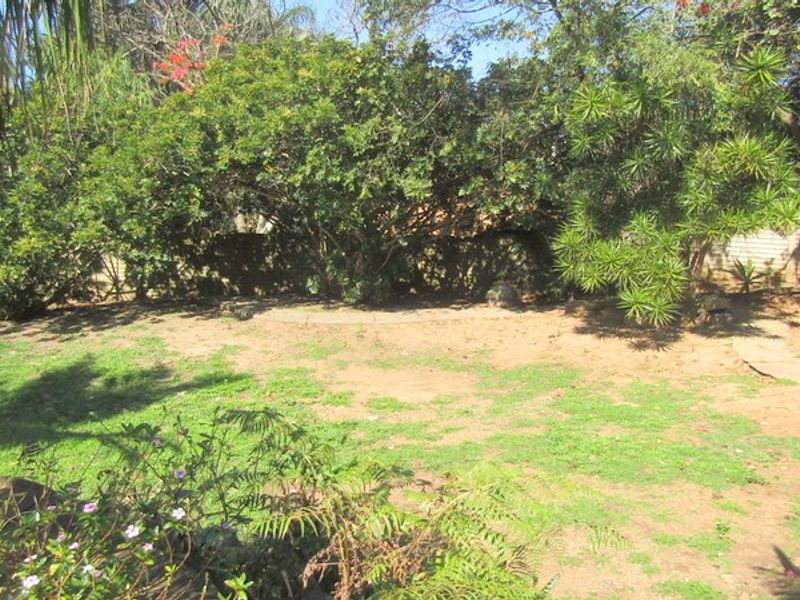 A spacious backyard garden featuring mature trees, established greenery, and a boundary wall, offering potential for landscaping and outdoor development.