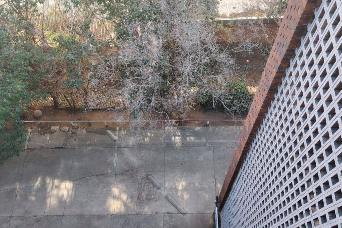 An elevated view of the rear exterior area featuring a concrete paved surface, a decorative brick screen wall, and surrounding trees.