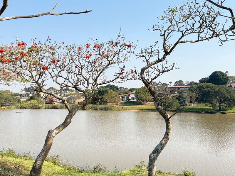 Vacant Land For Sale In Mtwalume - Photo 1