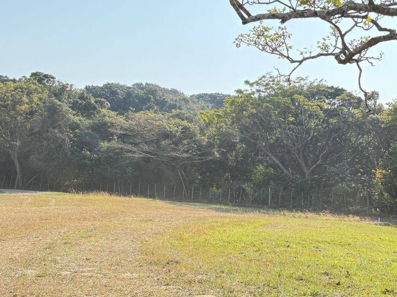Vacant Land For Sale In Mtwalume - Photo 9