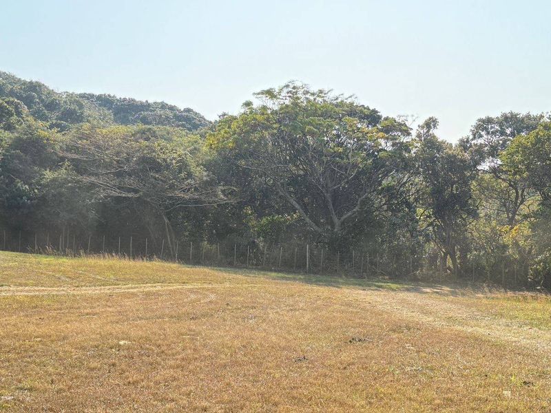 Vacant Land For Sale In Mtwalume - Photo 8